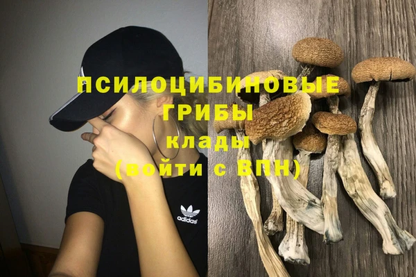 дмт Богородск