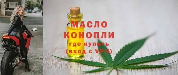 молекула духа Бронницы