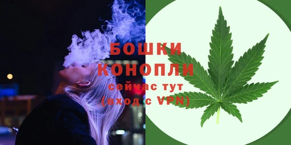 дурь Богородицк